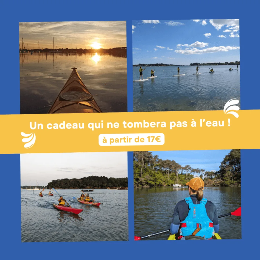 Mosaic of photos featuring kayaking and paddleboarding.
