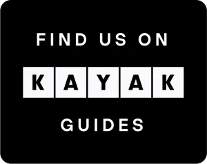Logo KAYAK