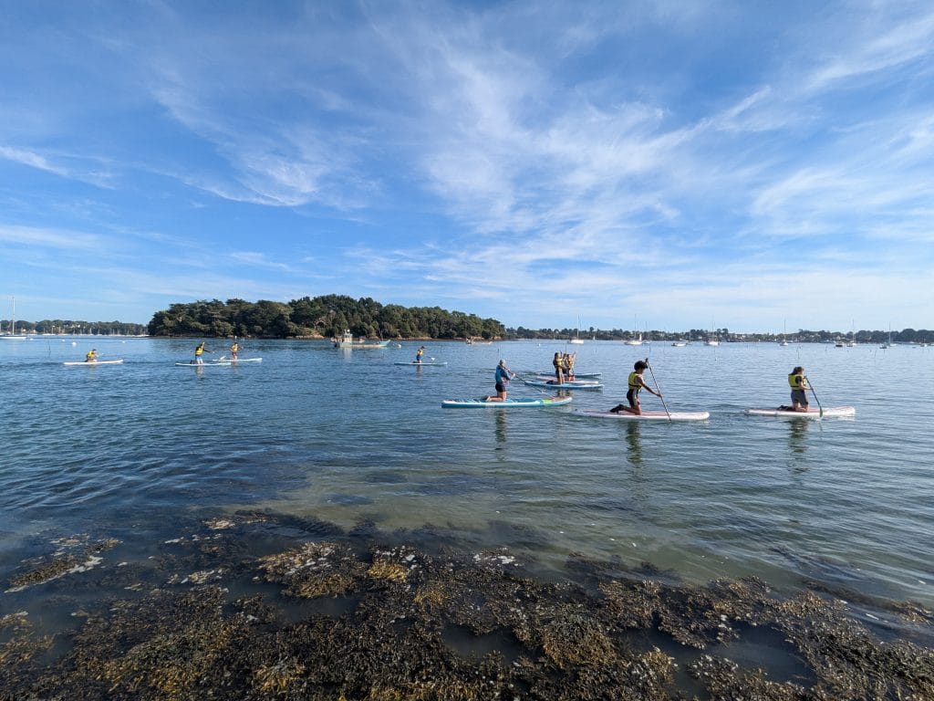 Groupe d'enfants en stand-up paddle devant l'île Irus.