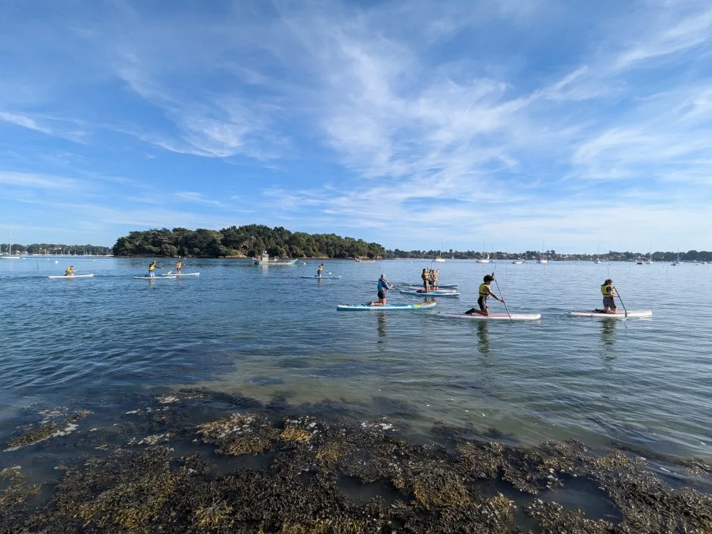 Group of children on stand-up paddleboards in front of Irus Island.