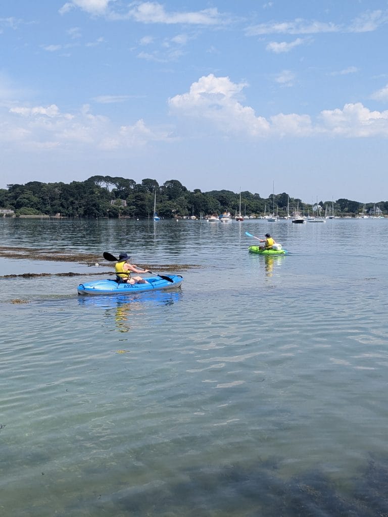 Photo of two single-person kayaks on the water.